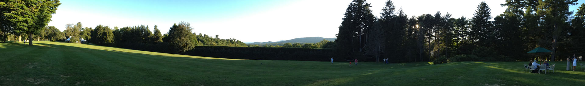 banner_lawn