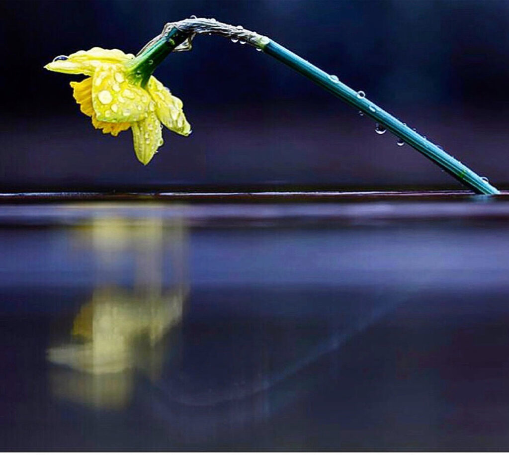 You already know, April Showers bring May flowers. Photo: Jay Rhind