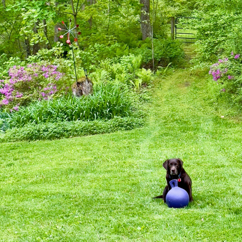 Photo: Lionel Delevingne