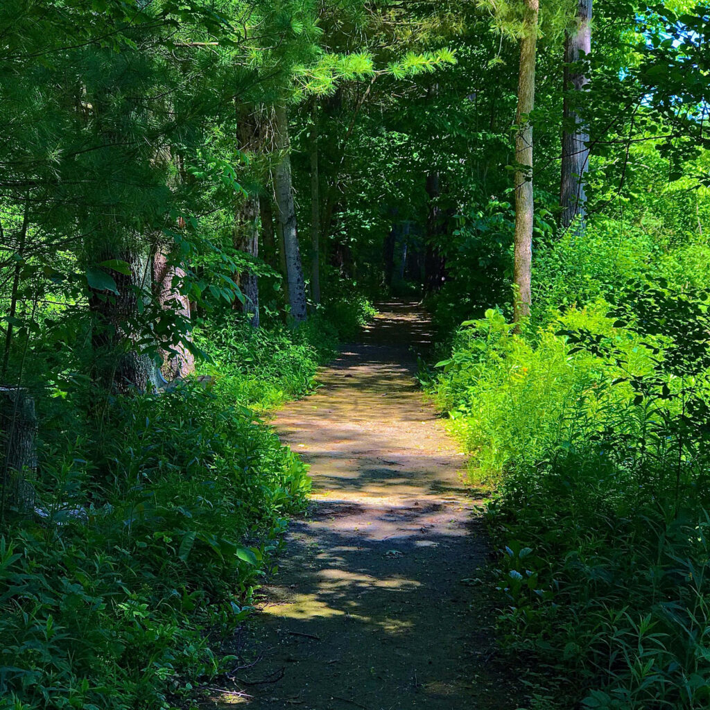 Photo: Lionel Delevingne