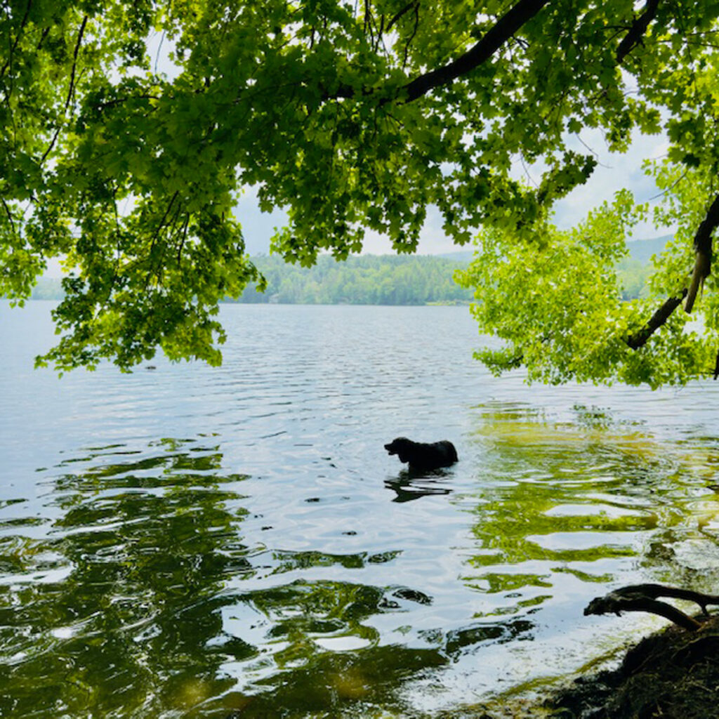 Suzette in Stockbridge Bowl. Photo: Lionel Delevingne