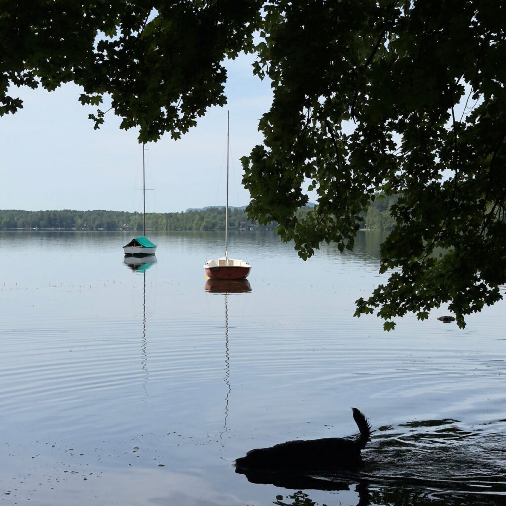 Stockbridge Bowl/Gould Meadows waterfront. Photo: Lionel Delevingne