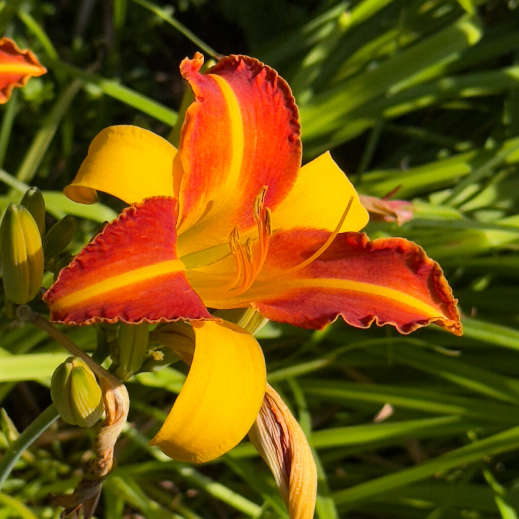 Photo: Lionel Delevingne