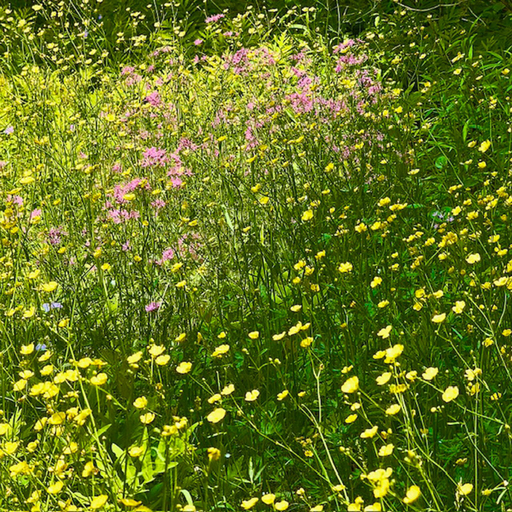 Photo: Lionel Delevingne