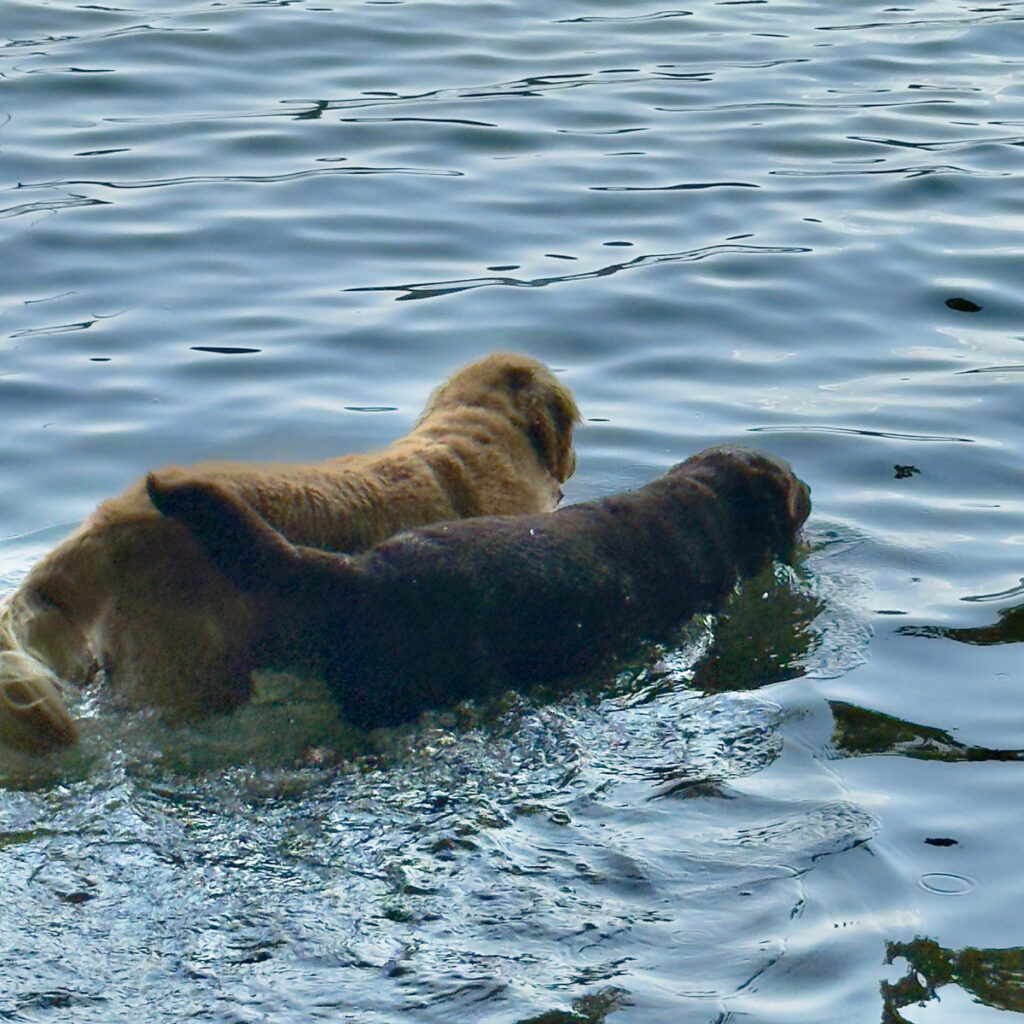 Photo: Lionel Delevingne