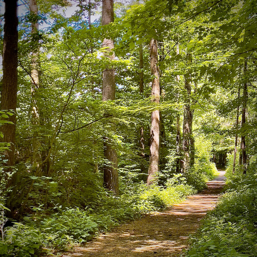 Photo: Lionel Delevingne