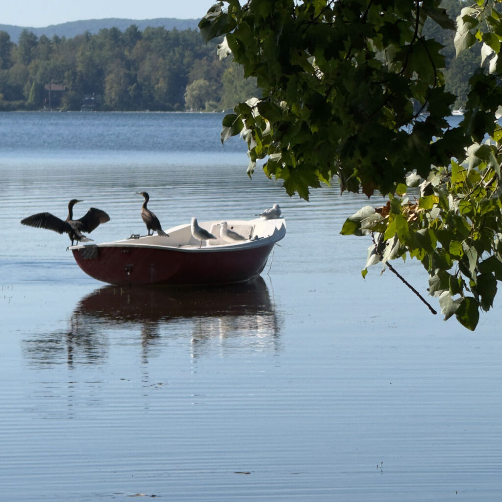 Photo Lionel Delevingne