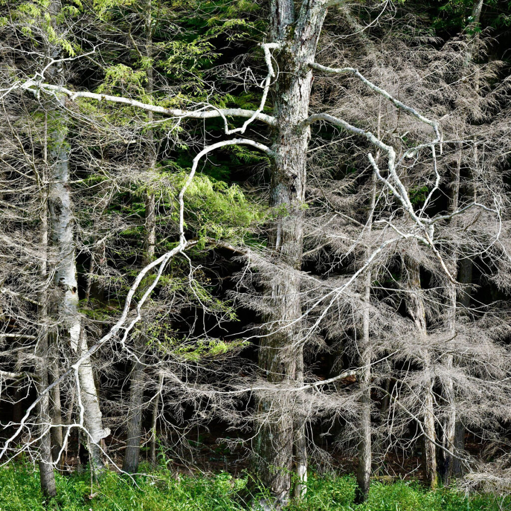 Photo by: Lionel Delevingne