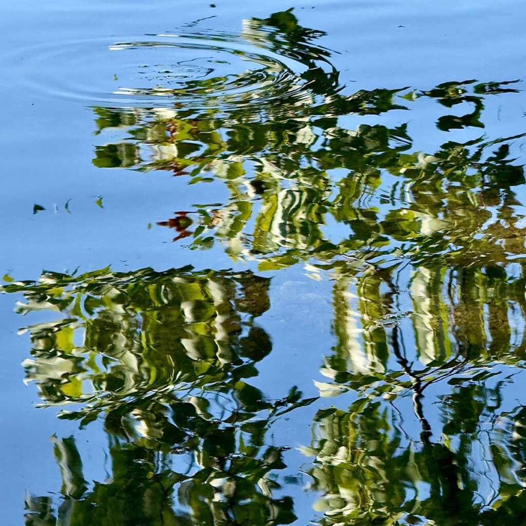 Photo by: Lionel Delevingne