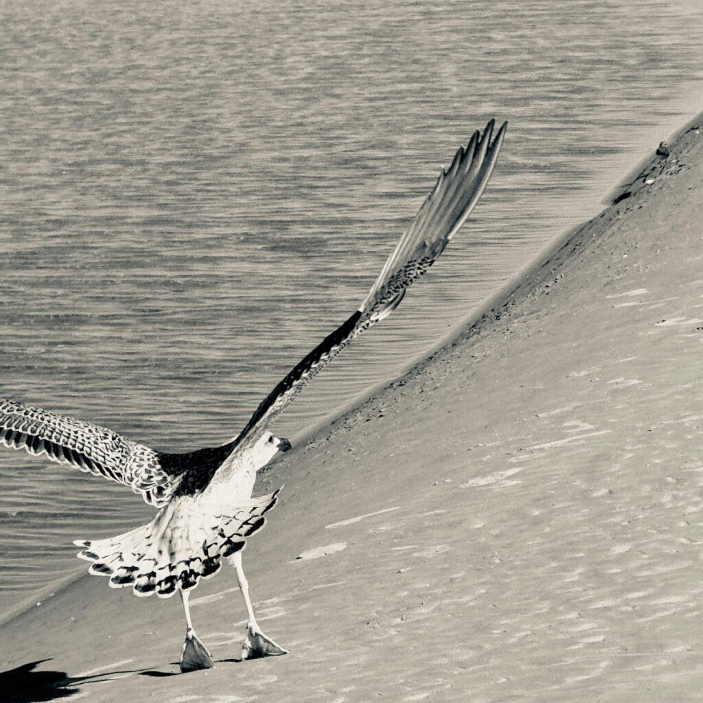 Photo: Lionel Delevingne