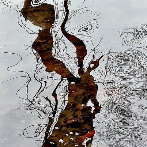 Lionel Delevingne Exhibition 510 Warren Street Gallery Hudson NY