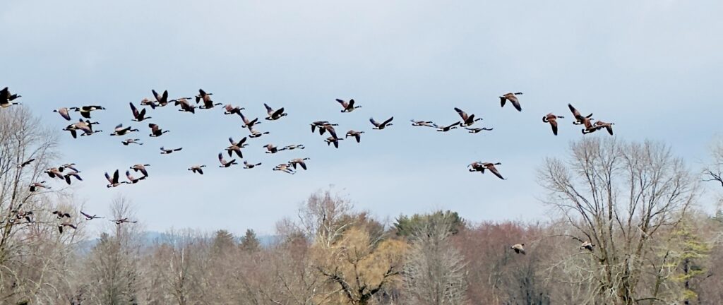 Photo: Lionel Delevingne