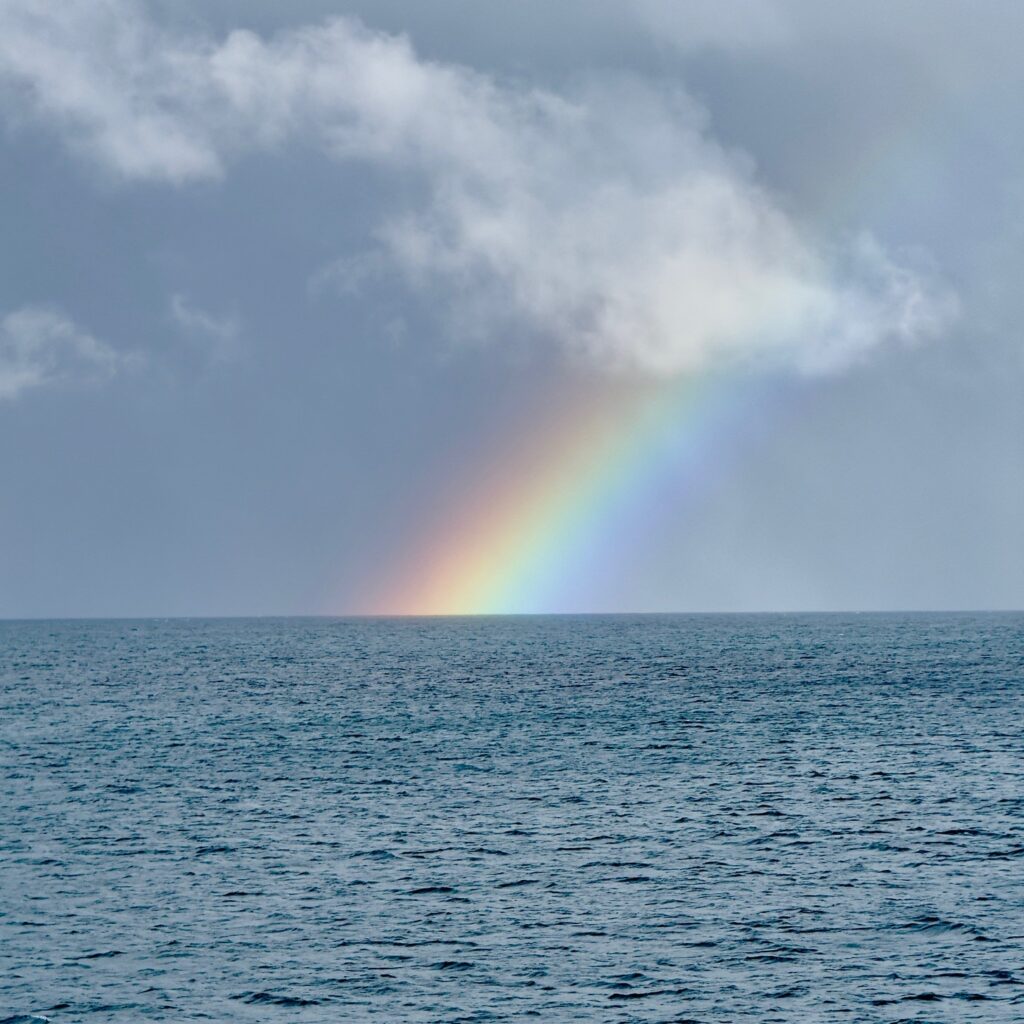 Photo: Lionel Delevingne