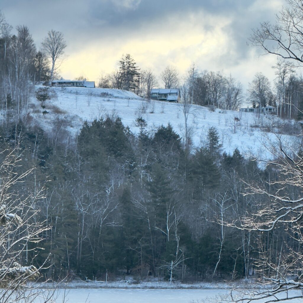 Photo: Lionel Delevingne