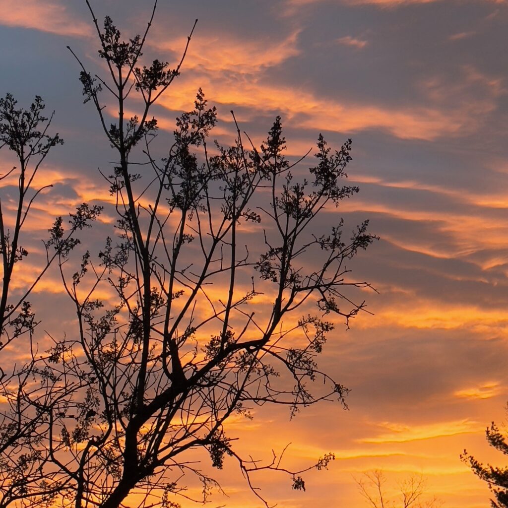 Photo: Lionel Delevingne 