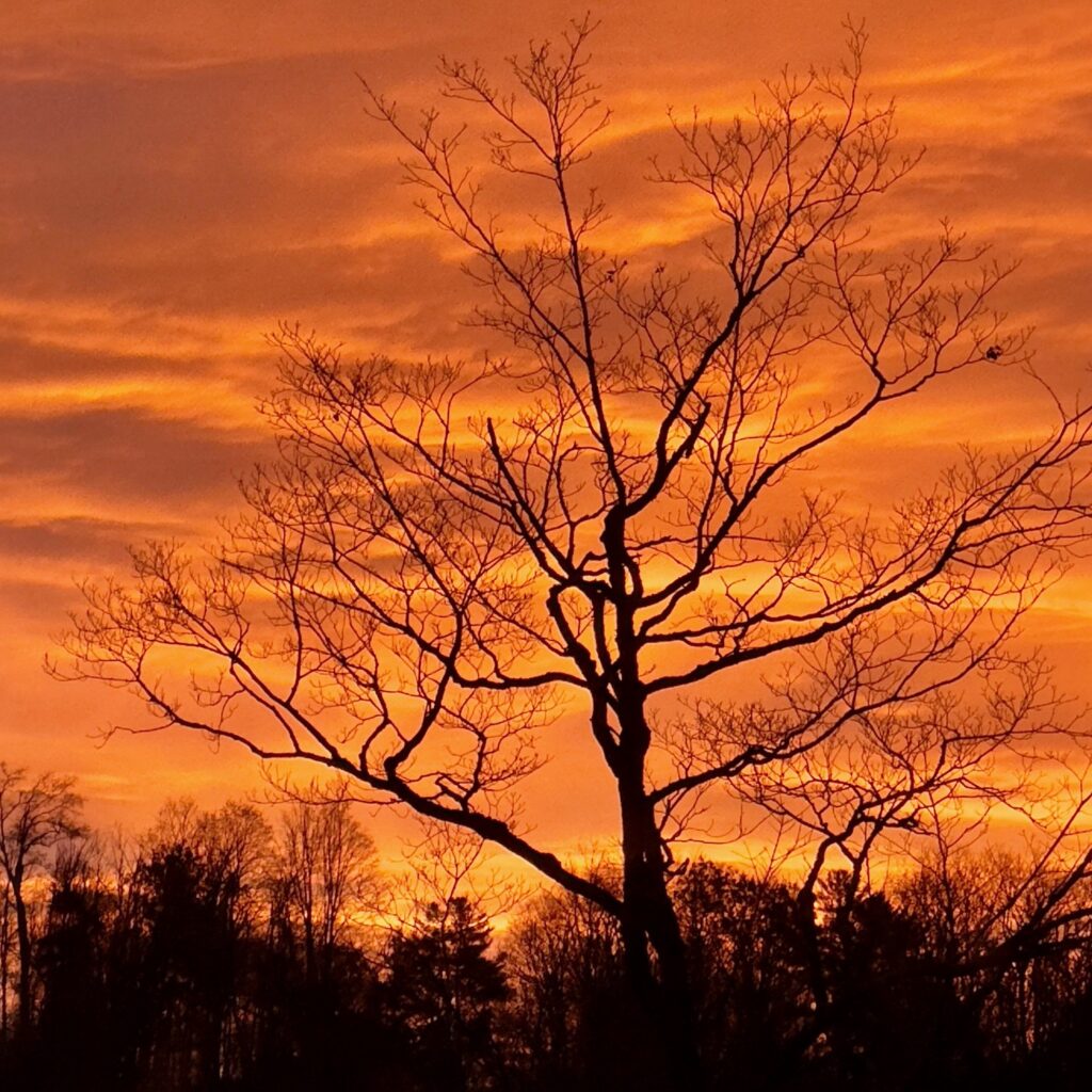 Photo: Lionel Delevingne