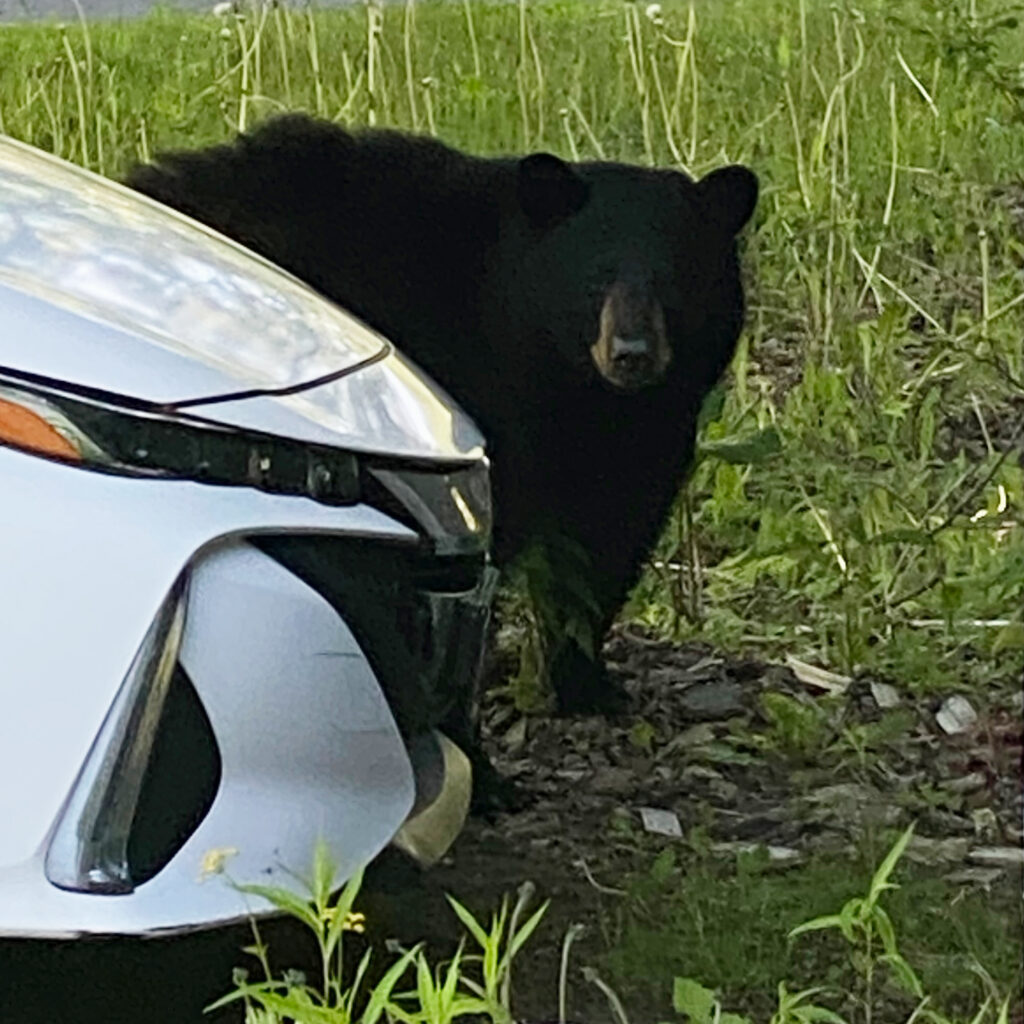 "Are you driving or am I?" Photo: Patrick White