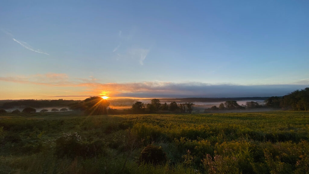 Dawn breaks over Sheffield. Photo: Patrick White