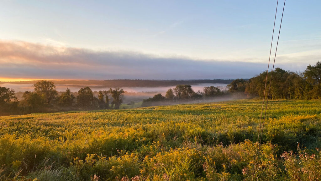 Photo: Patrick White