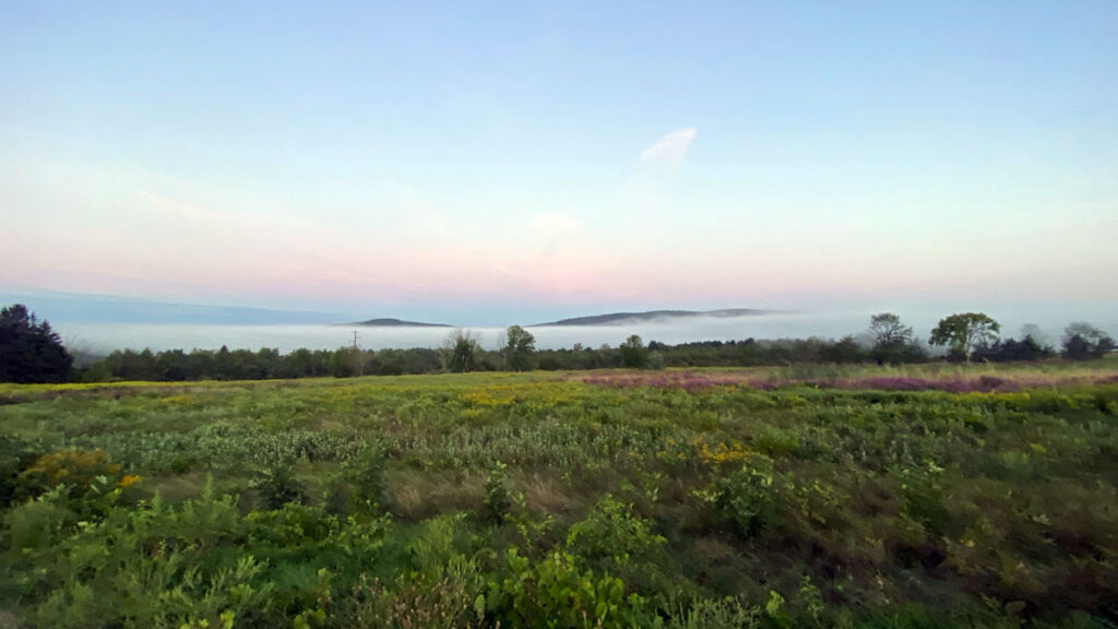 Morning fog below Litchfield Hills, part of the Appalachian Mountains. Photo: Patrick White