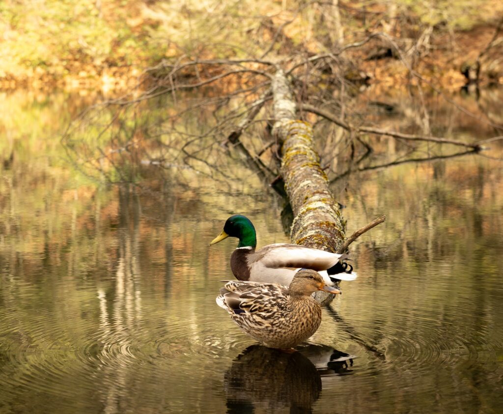 Photo: Dana Goedewaagen