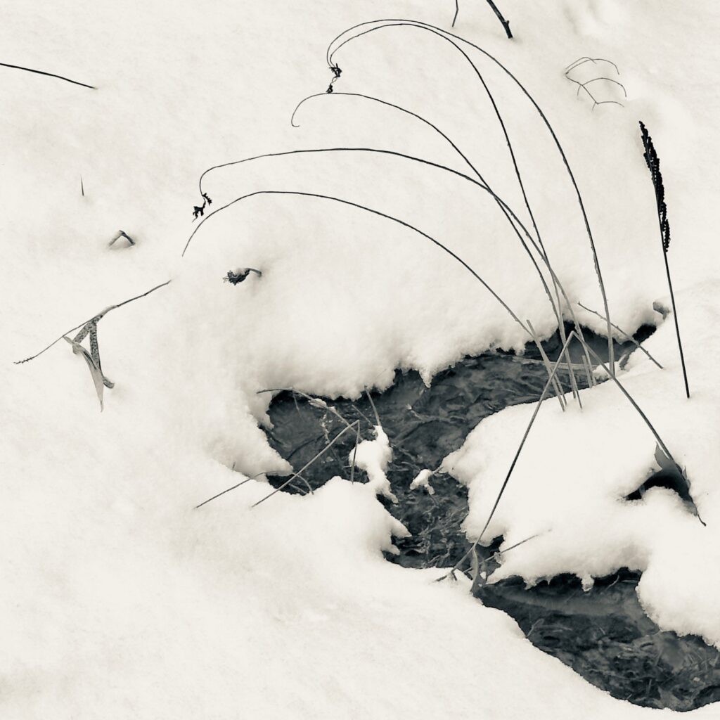 Photo: Lionel Delevingne