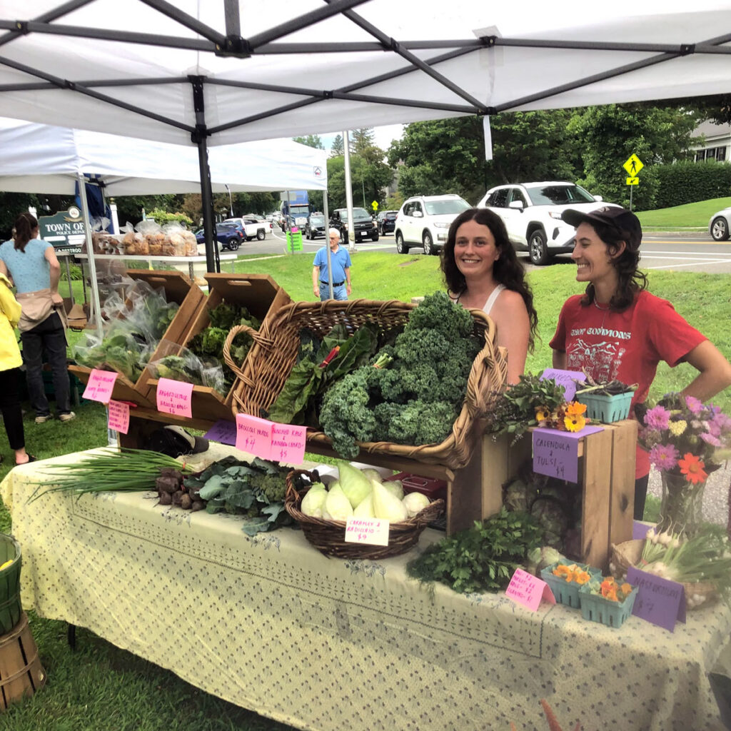 Stockbridge Farmers' Market: Wednesdays 3-6pm at 50 Main Street