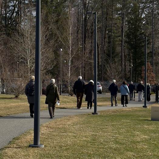 Photo: Lionel Delevingne