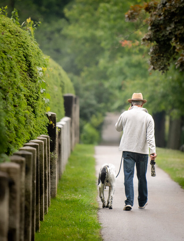 Dogs of Stockbridge. Photo: Blue Moon Images/Dana Goedewaagen