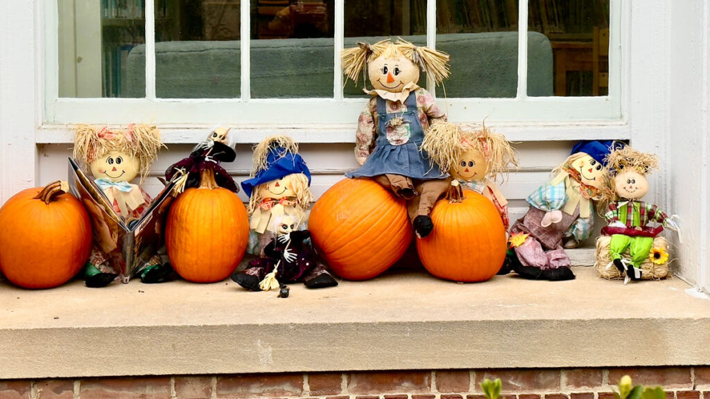 Photo: Lionel Delevingne - pumpkins in front of a window