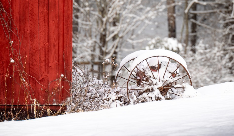 Photo: Dana Goedewaagen