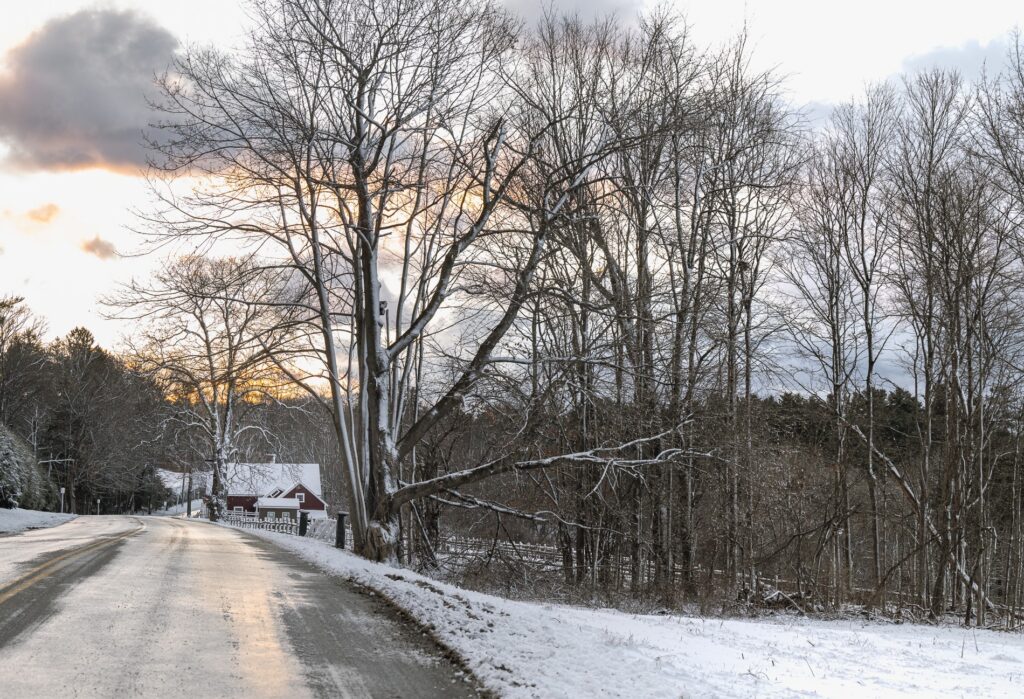 Photo: Dana Goedewaagen