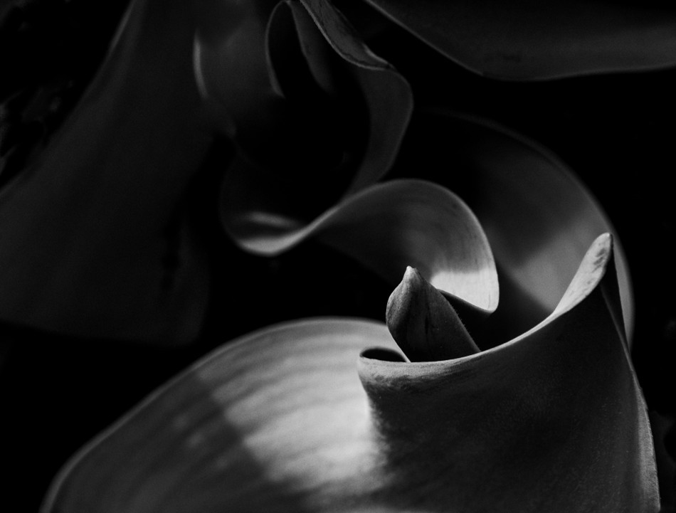 Photo by Dana Goedewaagen