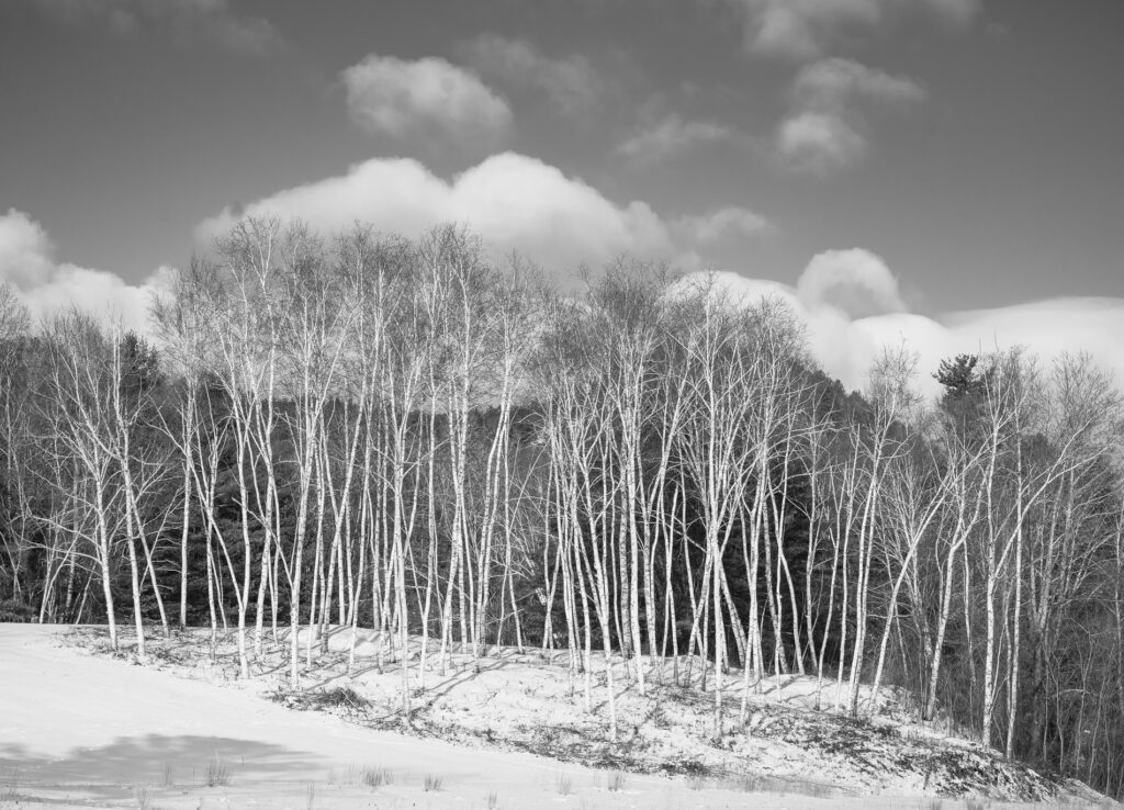 Photo: Dana Goedewaagen