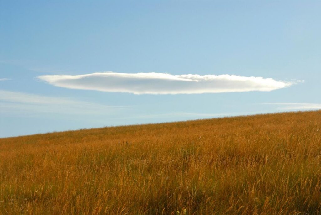 Photo: Lionel Delevingne