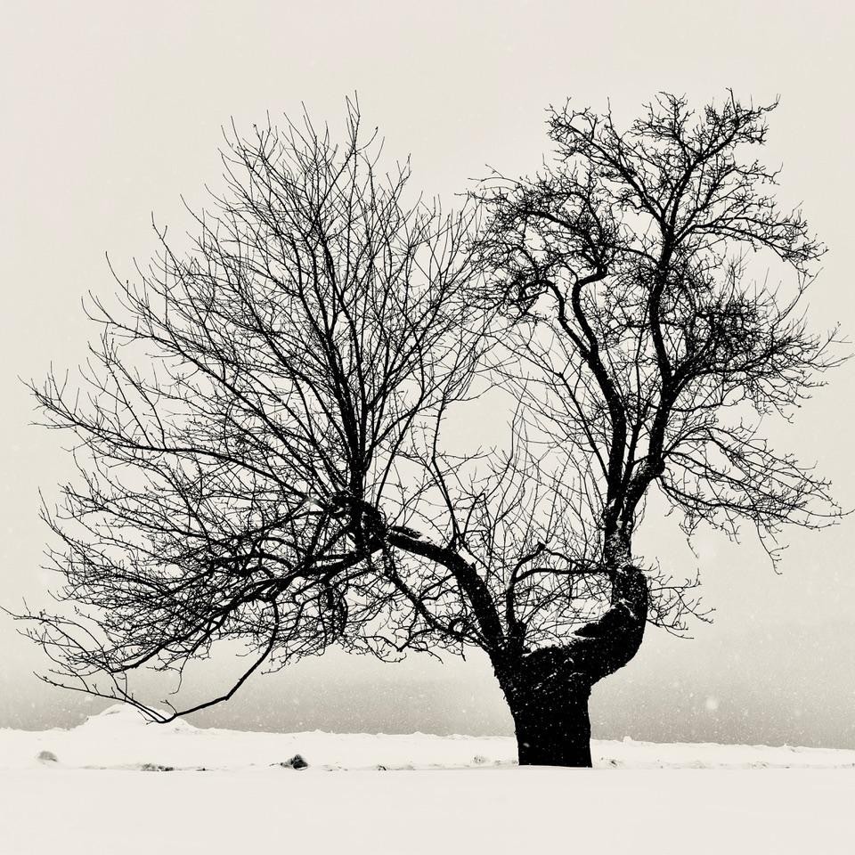 Photo: Lionel Delevingne