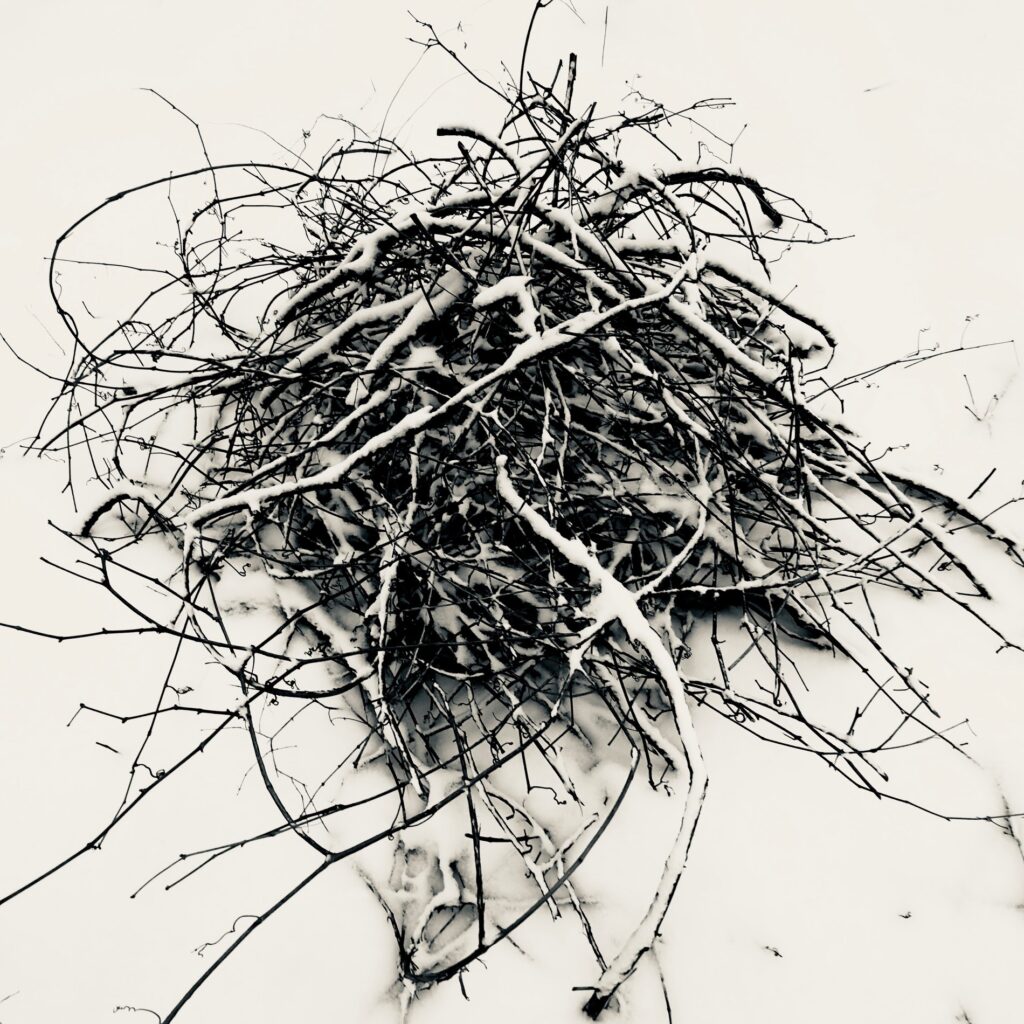 Photo: Lionel Delevingne