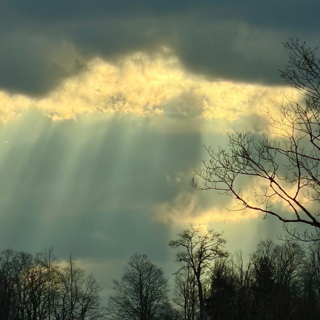 Photo by Lionel Delevingne