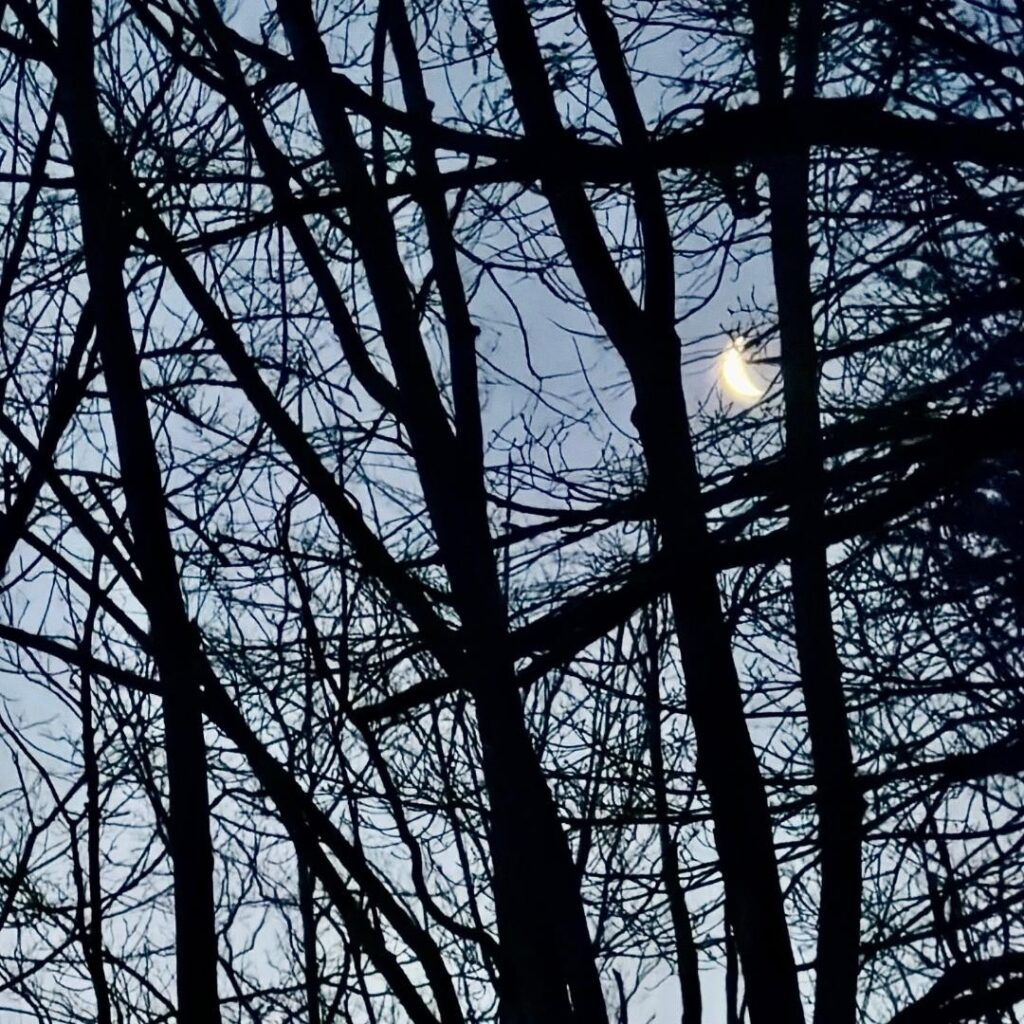 Photo: Lionel Delevingne