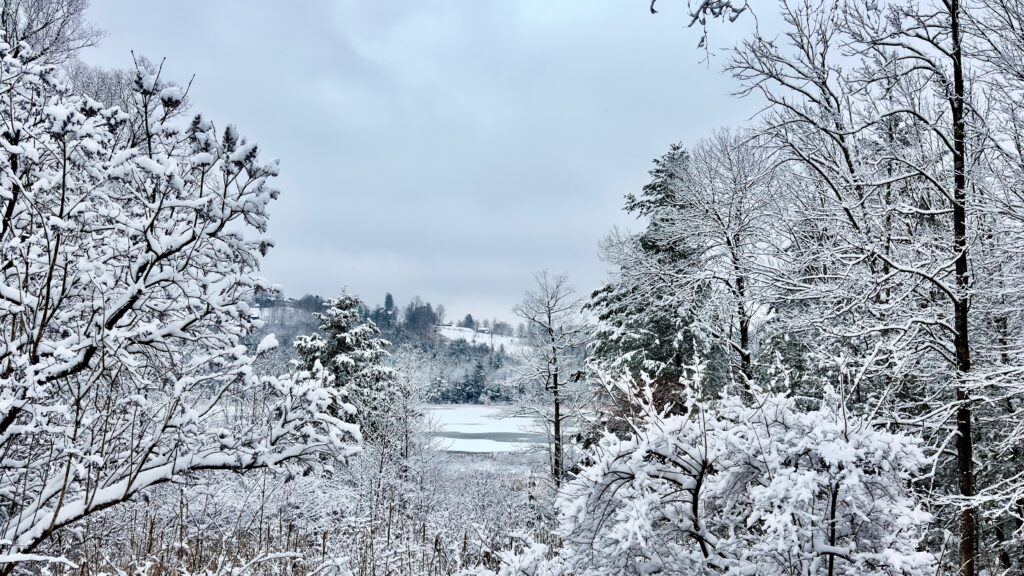 Photo By: Lionel Gelevinge - Winter Field