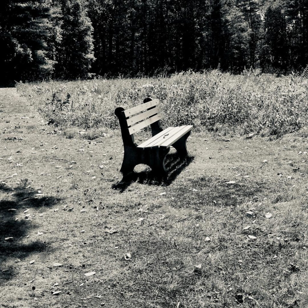Lionel Delevingne - bench
